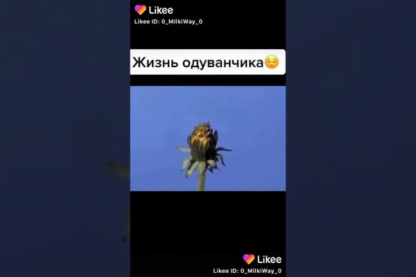 Сайты типа гидры