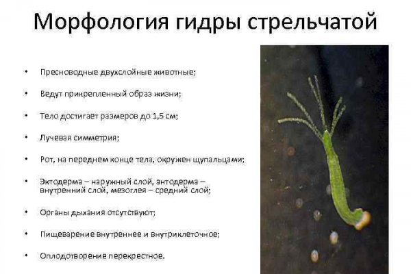 Кракен даркнет